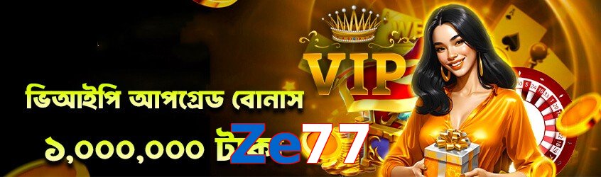 Ze77 interface sample